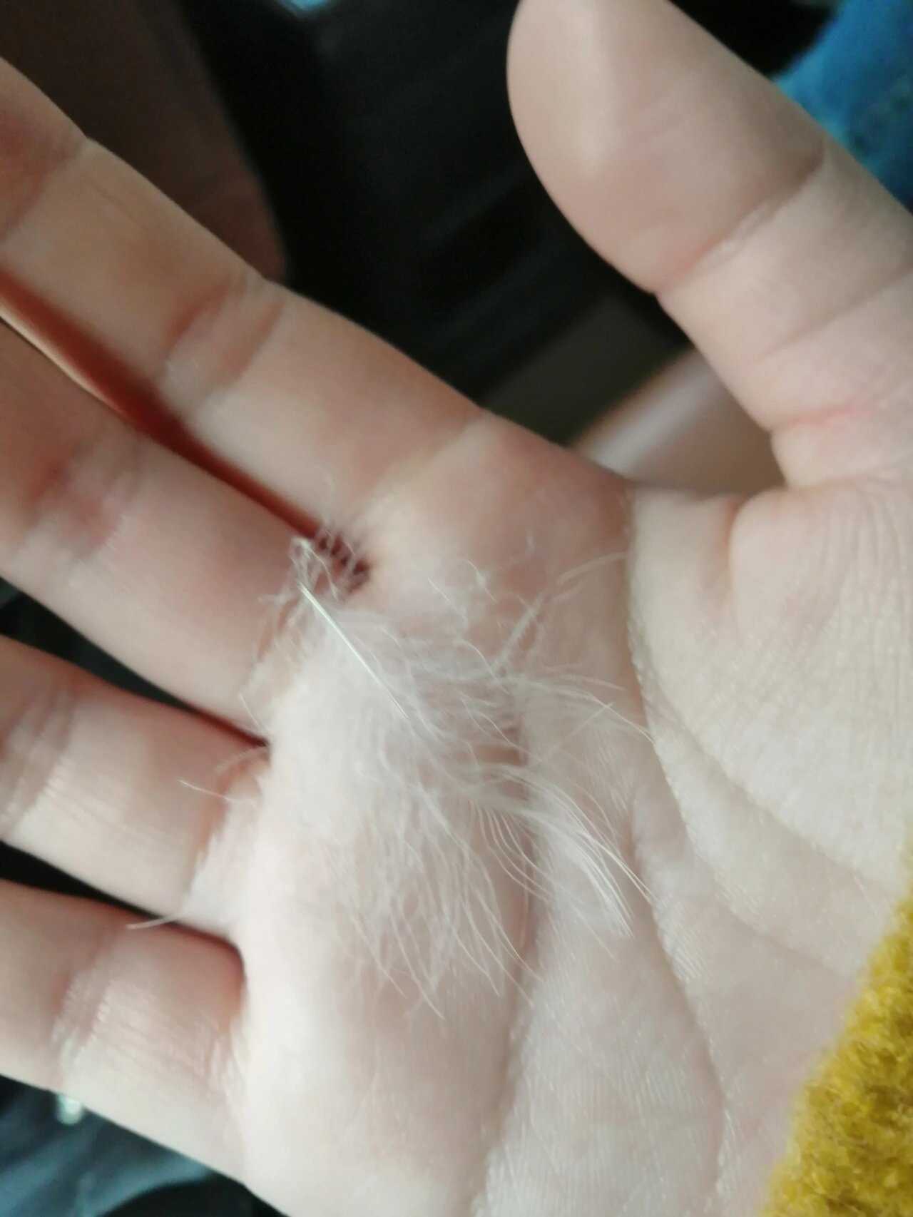 羽绒羽毛过敏说明